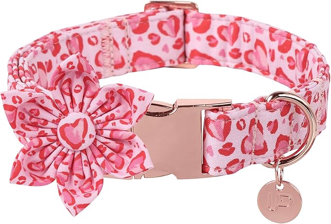 Valentine Dog Collar with Flower, Heart Flower Collar for Puppy Girl Boy Dog or Cat, Comfortable Dog Collar Flower with Durable Metal Buckle, Cute Pet Collar,XL, Neck 16-26in
