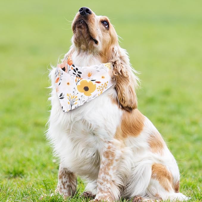 Whaline 4 Pcs Boho Pet Bandanas Spring Daisy Rainbow Floral Flower Dog Scarf Washable Adjustable Triangle Dog Bibs Puppy Neckerchief for Cat Pet Birthday Costume Accessories