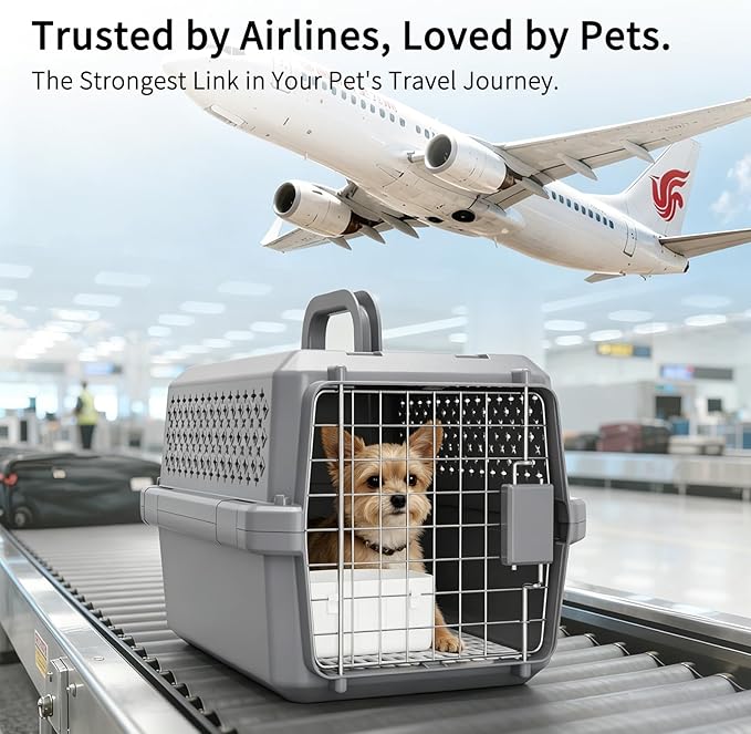 RIZZARI Grey Small Hard Sided Pet Carrier, Portable Ventilated Travel Crate with Metal Door and Handle for Small Dogs and Cats, Perfect for Car Rides, Vet Visits and Daily Use