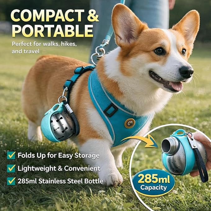 Portable Dog Water Ball, 2-in-1 Foldable Pet Water Bottle, Large-Capacity 304 Stainless Steel Cup with Foldable Silicone Bowl, Leak-Proof & Travel-Friendly, Suitable for Walks and Hiking (Blue2)