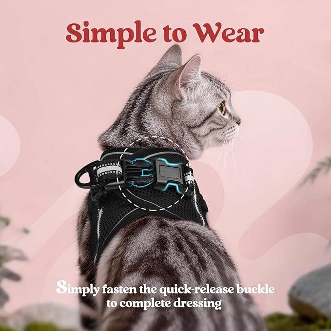 rabbitgoo Cat Harness and Leash, Step-in Escape Proof Kitten Harness Set, Soft Comfortable Cat Vest, Easy to Wear and Adjust, Reflective for Safe Outdoor Walking, Black, Medium