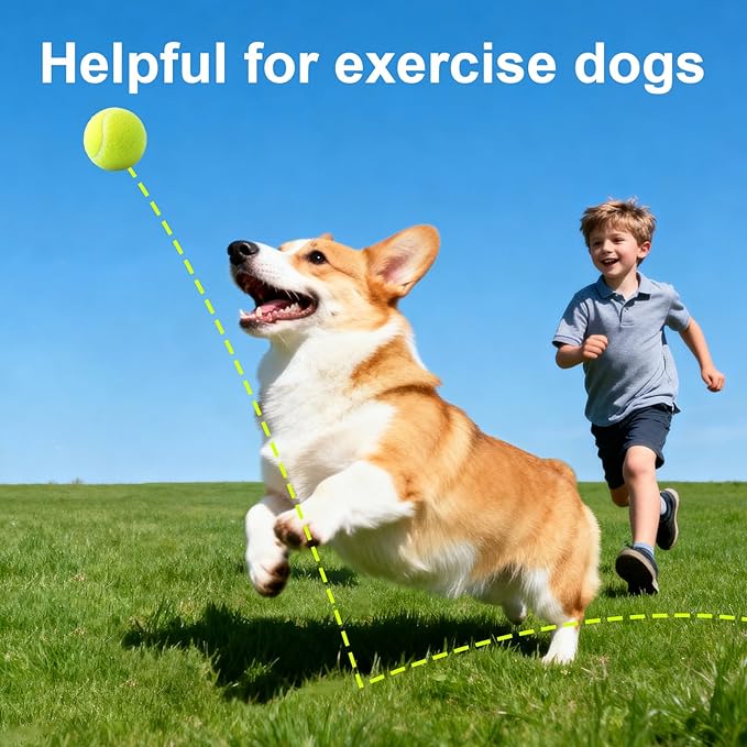 10 Pack of 2 Inch Mini Tennis Balls for Small Dogs, Fetch & Chew Toys, Compatible with 2" Automatic Ball Launchers for Interactive Play (Green 2)