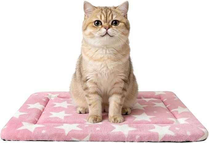 Cat & Dog Bed Mat - Reversible Dog Crate Bed Mats, Soft & Breathable Kennel Pad, Durable Crate Bed for Extra Small Dogs & Cats
