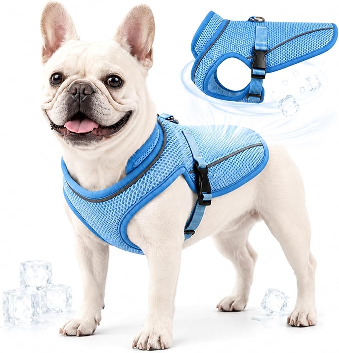 Dog Cooling Vest, Evaporative Cooling Dog Jacket with UV Protection, Lightweight Breathable Mesh Dog Cooling Shirt, Summer Heat Relief Gear with Adjustable Buckles for Hot Weather Walking & Hiking