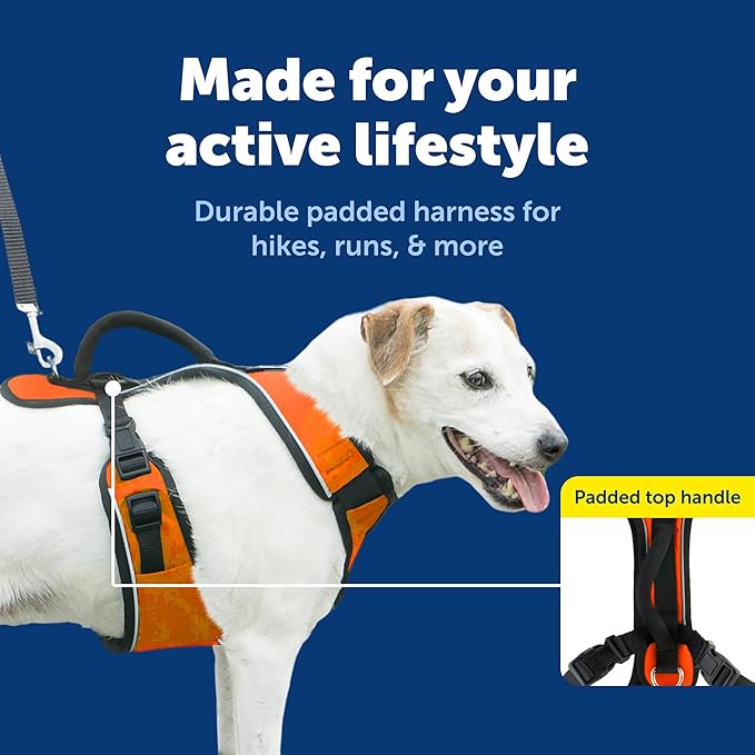 PetSafe EasySport Dog Harness Adjustable Padded Dog Harness with Control Handle and Reflective Piping Small, Orange