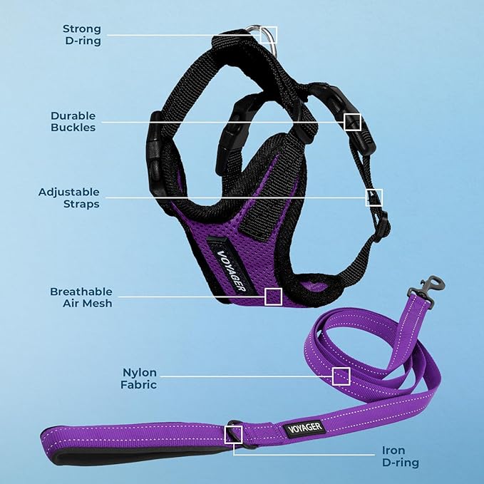 Best Pet Supplies Voyager Step-in Lock Pet Harness w Reflective Pet Leash Combo Set with Neoprene Handle 5ft - Supports Small, Medium and Large Breed Puppies/Cats - Purple/Black Trim, L