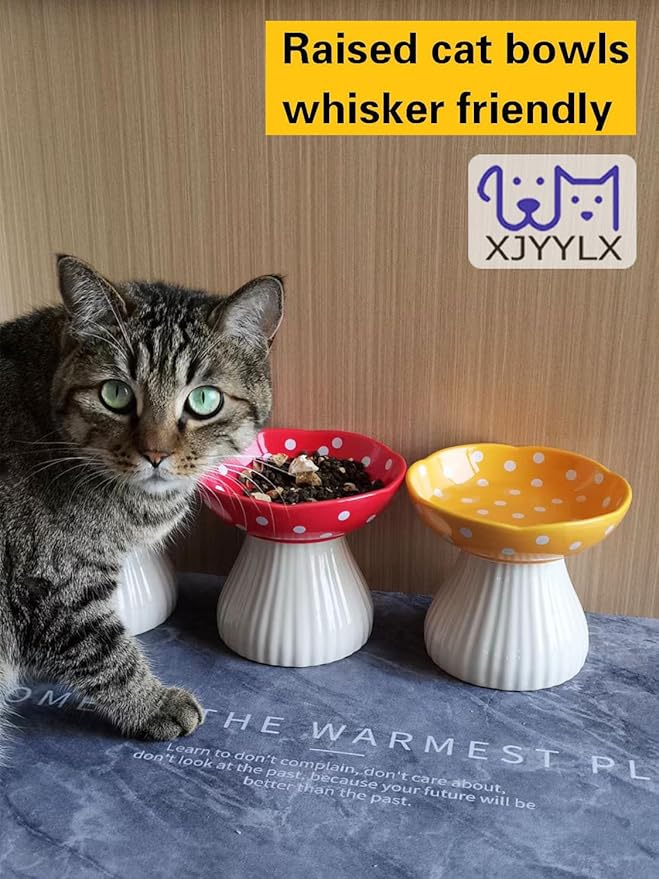 Mushroom Elevated Cat Bowls Ceramic, Raised Cat Bowl for Indoor Cats, Cute Cat Bowls Whisker Fatigue, Raised Dog Bowls Stand for Food and Water, Yellow 6" Wide for Adult Cats