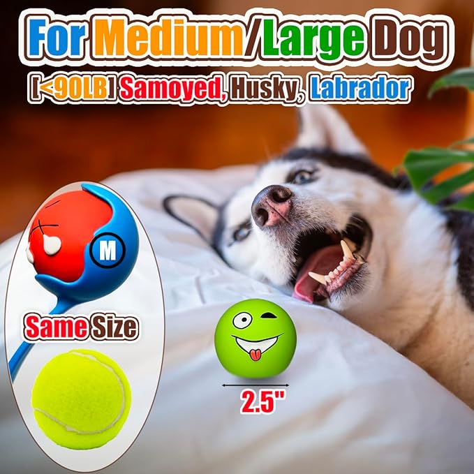 HOLYSTEED Latex Squeaky Dog Balls for Medium Breeds, 6-Pack Emoji Squeaky Dog Toys - 2.5-Inch Rubber Bouncy Fetch Toys, Assorted Colors for Indoor Outdoor Puppy Play