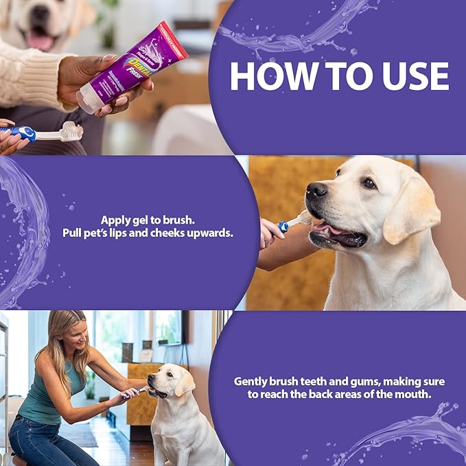 Dental Fresh Enzymatic Gel Dog Tooth Brushing Kit, Includes Triflex Toothbrush and Toothpaste for Teeth Cleaning