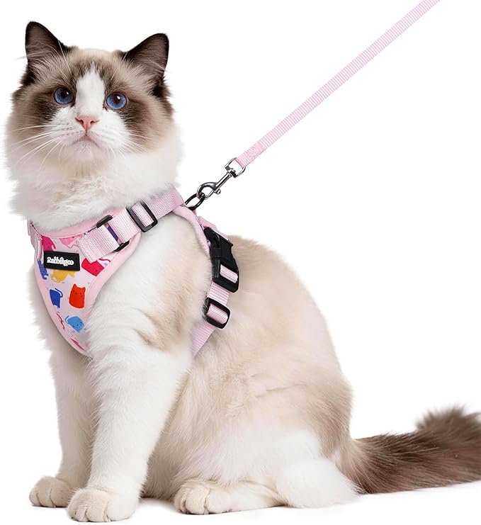 rabbitgoo Cat Harness and Leash Set, Escape Proof Vest Harness for Safe Outdoor Walks, Soft Breathable Adjustable Vest with Reflective Strips for Average to Large Cats, Purrty Pink, M