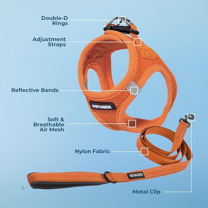 Best Pet Supplies Voyager Step-in Air All Weather Mesh Harness and Reflective Dog 5ft Leash Combo with Neoprene Handle, for Small, Medium and Large Breed Puppies - Set (Orange), XX-Small