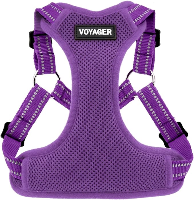 Best Pet Supplies Voyager Adjustable Step-in Flex Breathable Mesh Dog Harness for Small Medium Large Dogs (Purple), L