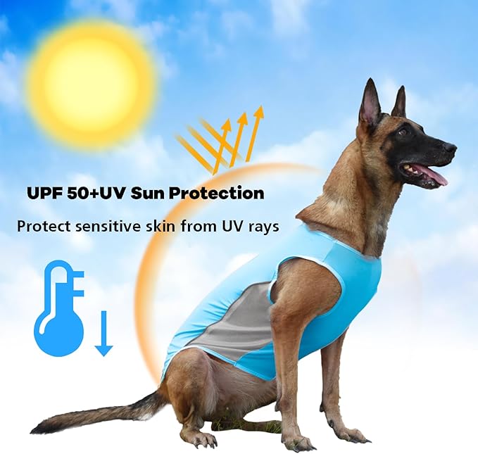 UPF 50+ Sun Protection Dog Shirt 2 Pack - Sleeveless Reflective Vest for Medium Large Dogs Boy, Quick-Dry Sports Fan Pet T-Shirt, UV Protective Breathable Dog Clothes P23ST00505XXXL