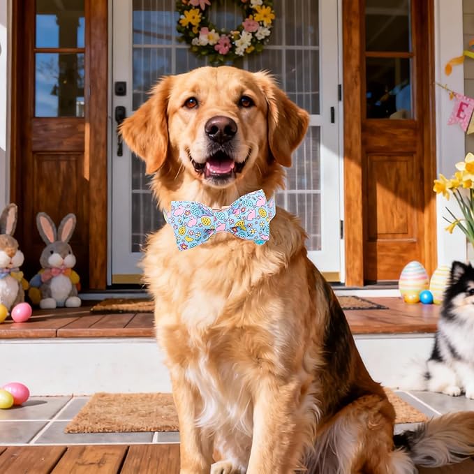DOGWONG Easer Dog Collar with Bow,Blue Bunny Easter Dog Collars, Adjustable Durable Soft Flower Easter Dog Collar for Male Female Puppy,S