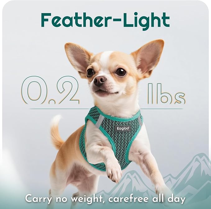 Eagloo Small Dog Harness and Leash Set, Step in Puppy Vest with Breathable Soft Mesh, Walking Reflective Pet Harness for Small Dogs, Forest Green, L