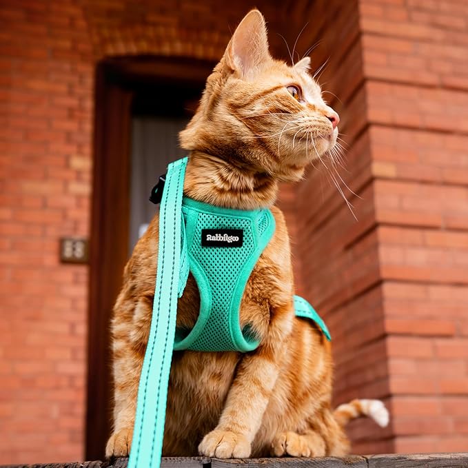 rabbitgoo Cat Harness and Leash, Escape Proof Vest with 3 Adjustable Buckles, Soft Comfortable Kitten Harness, Easy to Wear, Reflective for Safe Outdoor Walking, XS, Green