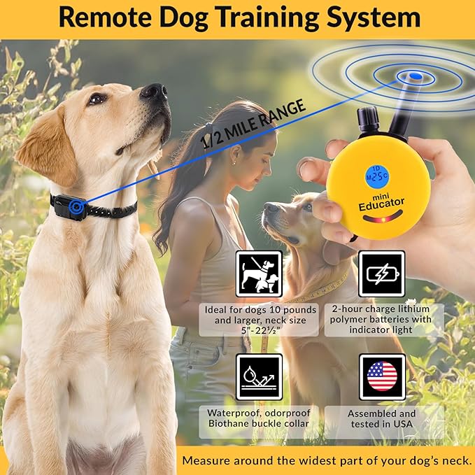 E-Collar ET-300 Mini Educator Remote Dog Training Collar – 1/2 Mile Waterproof, Premium Finger Clicker Trainer, 100 Stimulation Levels + Vibration + Light + Sound – 1 Dog Small to Medium, Yellow