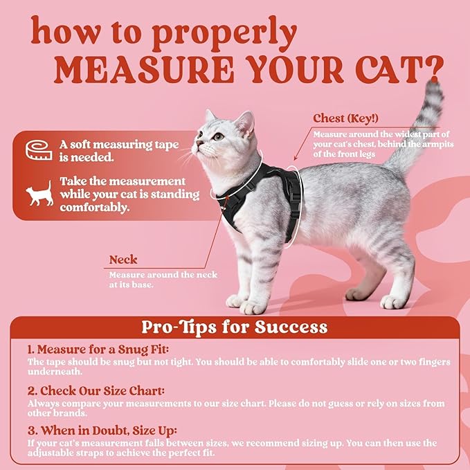 rabbitgoo Cat Harness and Leash Set, Escape Proof Vest Harness for Safe Outdoor Walks, Soft Breathable Adjustable Vest with Reflective Strips for Small and Average Cats, Black, S