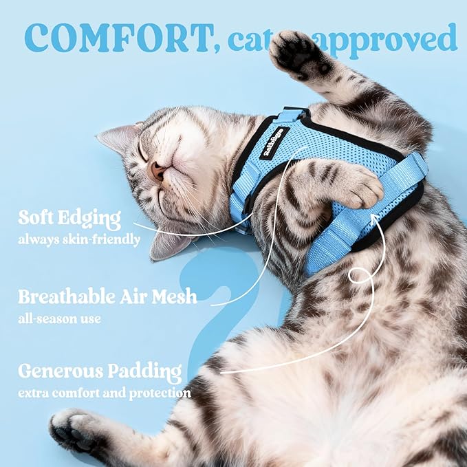 rabbitgoo Cat Harness and Leash Set, Escape Proof Kitten Harness for Safe Outdoor Walks, Soft Breathable Adjustable Vest with Reflective Strips for Kittens and Extra Small Cats, Light Blue, XXS