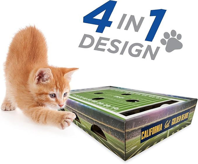 Pets First NCAA California Berkley Golden Bears Cat Scratcher Box, Game Day Cat Toy, NCAA Football Field Designed Cat Scratcher and Lounge, Stimulating Cat Game