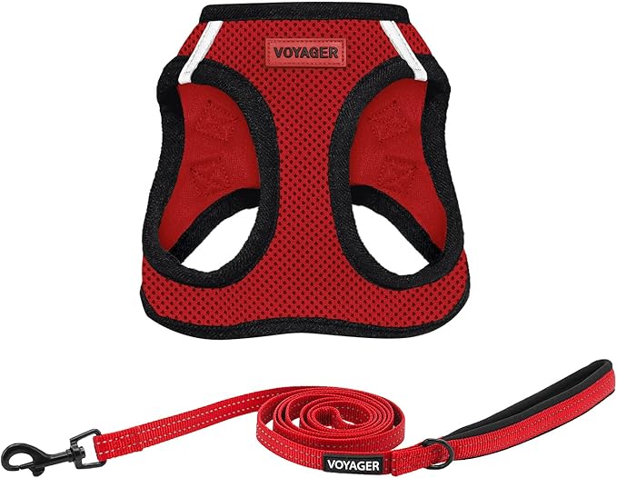 Best Pet Supplies Voyager Step-in Air All Weather Mesh Harness and Reflective Dog 5ft Leash Combo with Neoprene Handle, for Small, Medium and Large Breed Puppies - Set (Red/Black Trim), X-Small