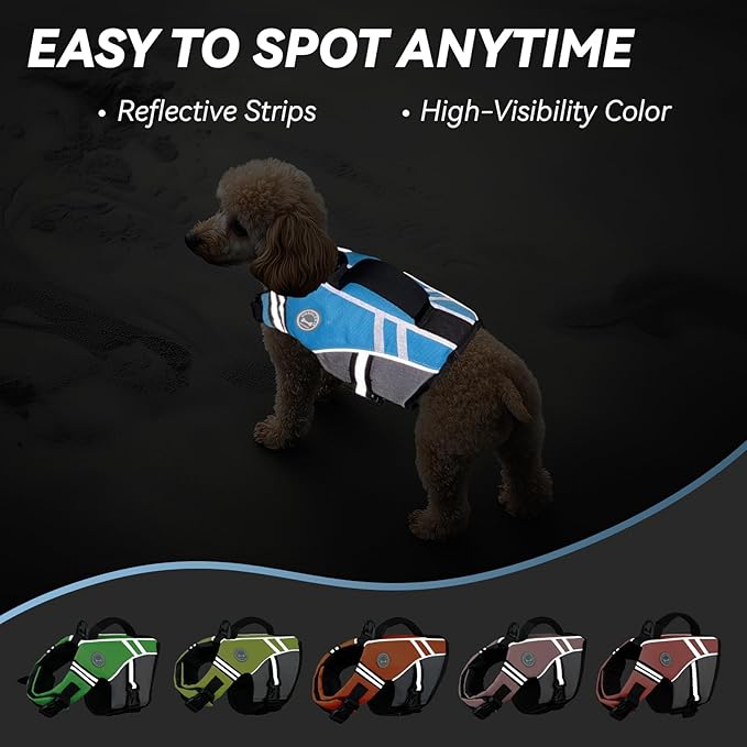 VIVAGLORY Sports Style Dog Life Vest, Dog Life Jacket for Swimming & Boating, Ripstop & Buoyancy for Puppy Doggy, Lifejacket with Handle, XS, Blue
