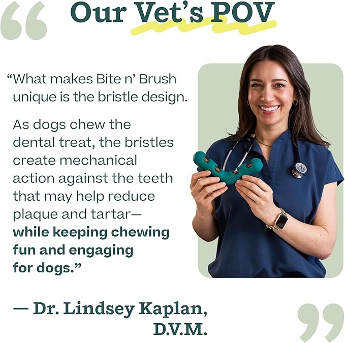 WOOF The Bite n' Brush - Dog Toothbrush Toy - Scrub Plaque and Tartar from Your Dog's Teeth and Mouth - Dog Dental Chew Toy - Small