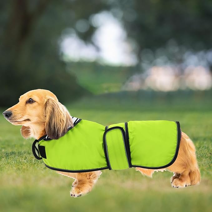 Dachshund Raincoat Corgi Raincoat Dogs Waterproof fit for Dachshunds Weiner Long Back Breeds with Reflective Stripe Great Coverage in Autumn Winter Light Green M
