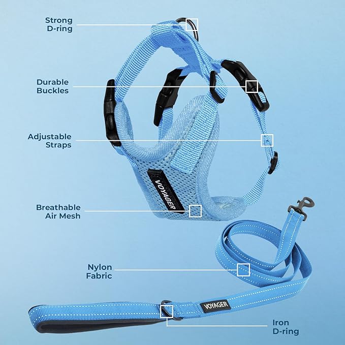 Best Pet Supplies Voyager Step-in Lock Pet Harness w Reflective Pet Leash Combo Set with Neoprene Handle 5ft - Supports Small, Medium and Large Breed Puppies/Cats - Baby Blue Set, M