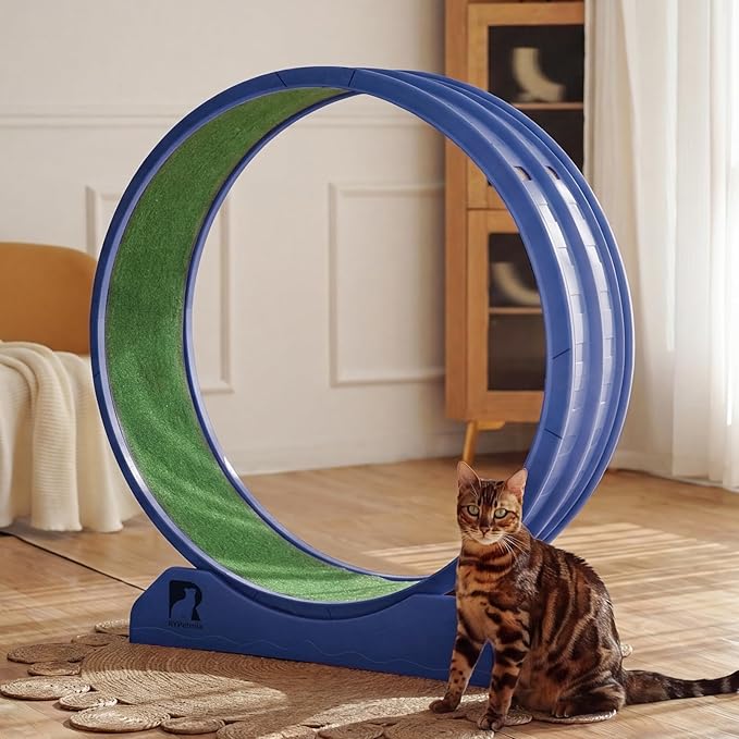 Cat Exercise Wheel, 47.2 Inch Indoor Treadmill for Cats with Carpeted Runway, Screw-Fixed Assembly for Easy Setup, Silent & Safe Fitness Equipment for Most Cats