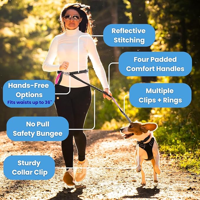Heavy Duty Dog Leash for Large Dogs – 6FT Reflective Bungee with Padded Handles, Strong Carabiner Clip, No Pull Control for Medium & Large Breeds, Includes Poop Bag Holder & Treat Pouch (Royal Blue)