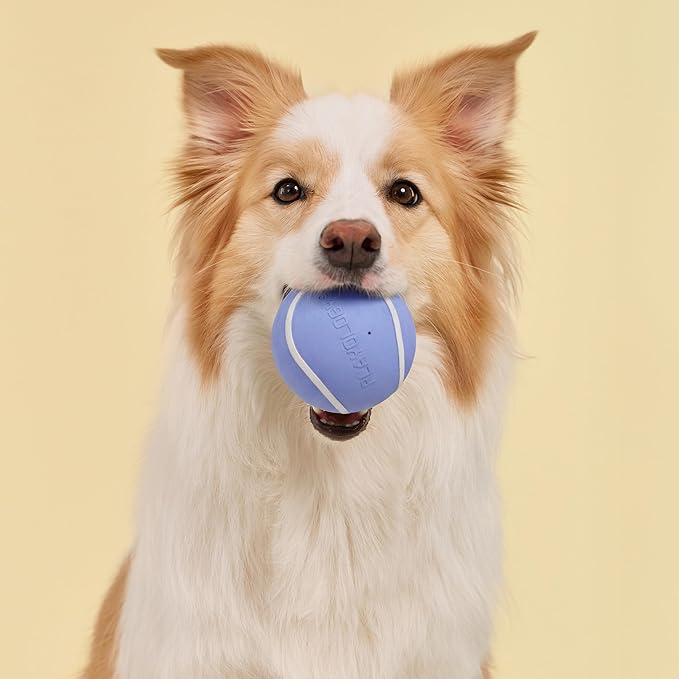 Playology Dog Toys | Squeaky Chew Ball for Large Dogs | Blueberry Scented Jumbo Dog Ball | Bouncy Floating Chew Toys for Fetch