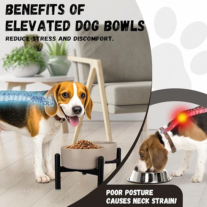 Raised Ceramic Dog Bowl Set - Elevated Double Dishes with Stainless Steel Stand - Food and Water Bowls for Small to Medium Dogs - Each Holds 3.5 Cups (29.57 fl oz) - Pink