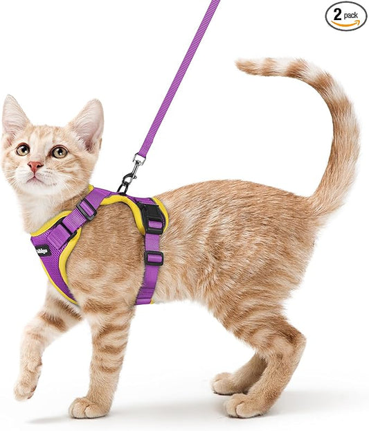 rabbitgoo Cat Harness and Leash Set, Escape Proof Kitten Harness for Safe Outdoor Walks, Soft Breathable Adjustable Vest with Reflective Strips for Kittens and Small Cats, Purple&Yellow, XS