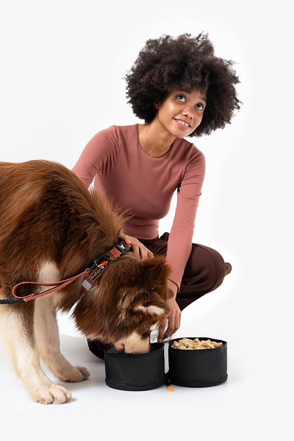 OllyDog Superbowl | Collapsible Dog Travel Bowl | 2-Compartment Food & Water | Foldable Portable Dog Dish | Hiking Camping Backpacking | Small Medium Large Dogs (Raven)