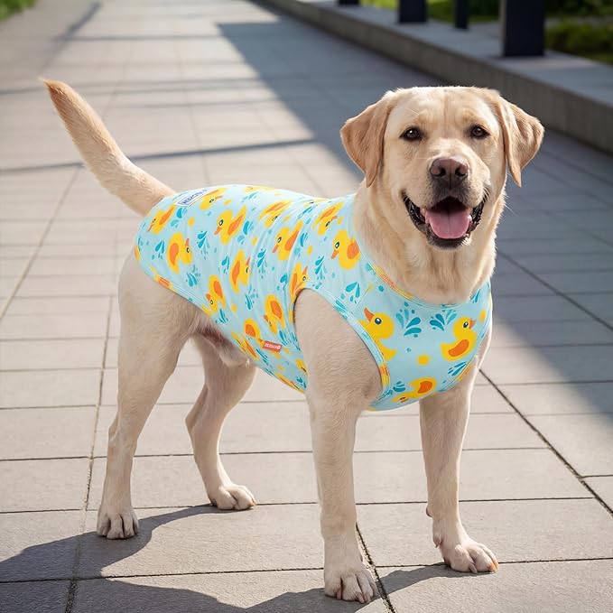 KYEESE 2Pack Dog Cooling Shirt, Breathable Dog Shirt for Medium Large Dogs, Sun Protection Dogs Cooling Vest Tank Top, Lightweight Soft Sleeveless Summer Pet Clothes, Duck+Blue, 2XL