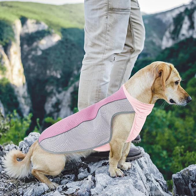 Dog Cooling Vest for Summer, Breathable Mesh Cooling Shirt Jacket for Dogs Summer Heat Relief, Lightweight Cooling Dog Harness Pet Cooler Suit for Outdoor Hiking Walking Hot Weather(Pink XL)