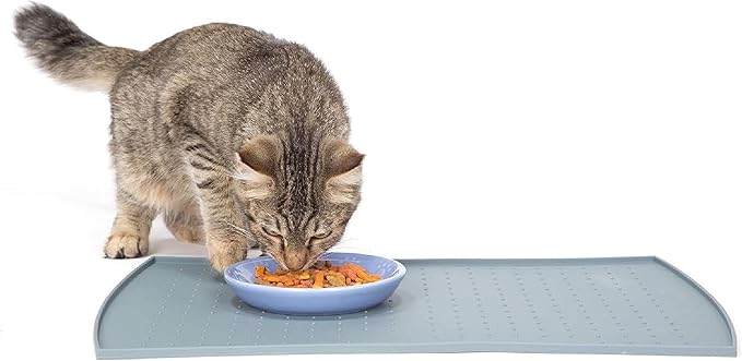 PetFusion Small Waterproof Dog & Cat Food Mat (18x12"). FDA Grade Silicone [superior hygiene, non-toxic, multiple sizes]