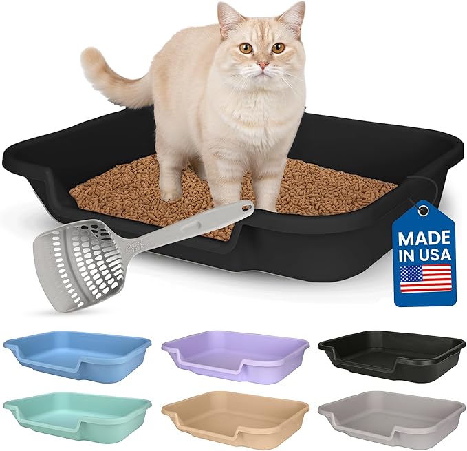 KittyGoHere Senior Cat Litter Box, Large Litter pan with Long-Handle Jumbo Scoop, Open Top Low Entrance Kitty Litters Box, Lightweight Low Entry Litter Box, Durable, Made in USA (Black)