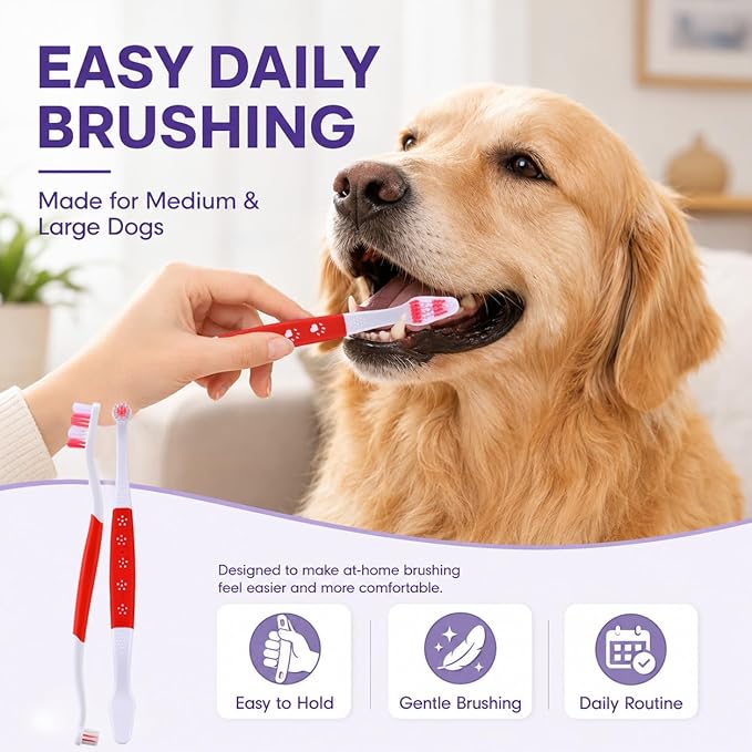 Dog Toothbrush – Newly Upgraded Dual-Head Design with 60° Wavy Bristles – Gently Surrounds Teeth for Deep Cleaning and Plaque Removal – Non-Slip Handle, Ideal for Daily Pet Dental Care (Red, 2-Pack)