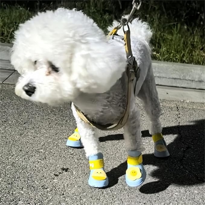 4Pcs Waterproof Egg Pattern Dog Boots Dog Shoes for Snow and Rain Teddy Pomeranian Bichon Small Dogs (Blue, Medium)