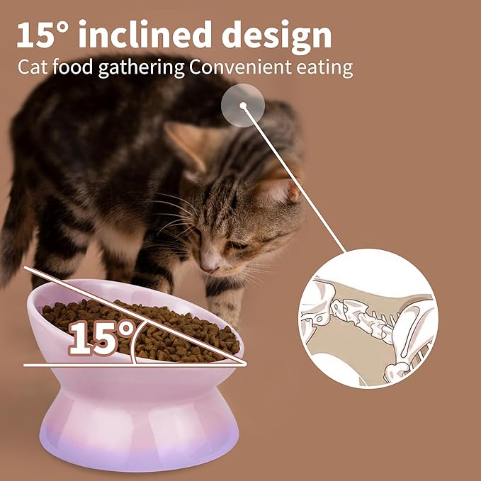 Cute Ceramic Tilted Food Bowls for Indoor Cats Cat Bowl Elevated Cat Bowls Whisker Friendly 6.1 Inch Wide 15° Raised Kitten Supplies Dishwasher and Microwave Safe Purple Cats Water Bowl