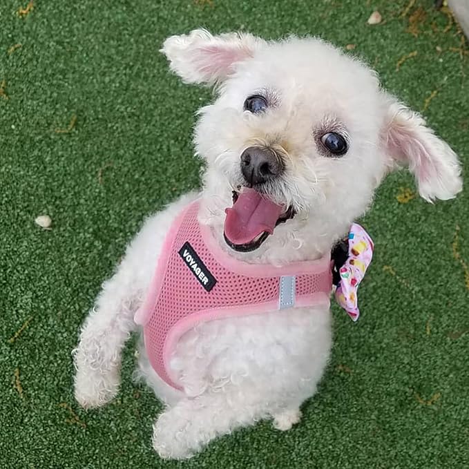Best Pet Supplies Voyager Step-in Air All Weather Mesh Harness and Reflective Dog 5ft Leash Combo with Neoprene Handle, for Small, Medium and Large Breed Puppies - Set (Pink), XX-Small