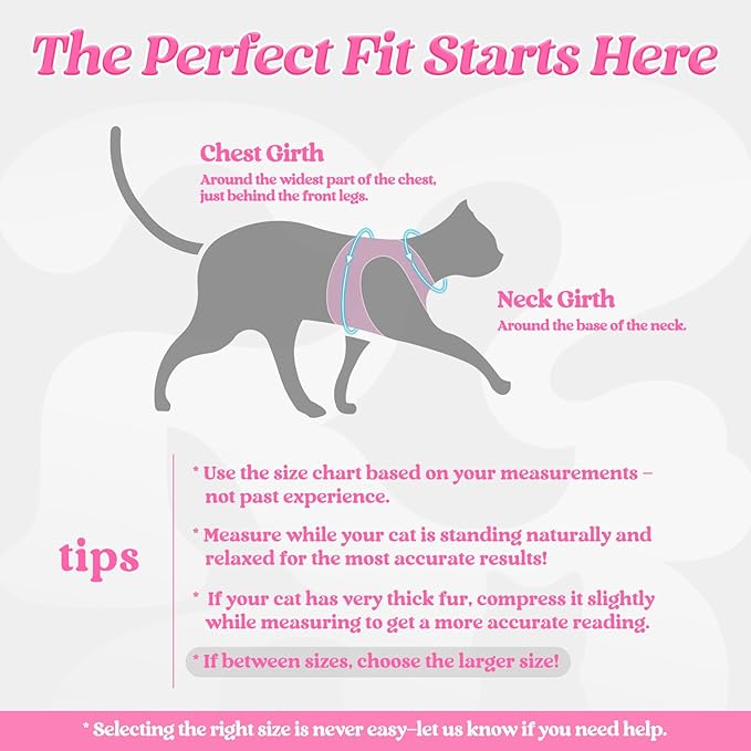 rabbitgoo Cat Harness and Leash, Step-in Escape Proof Kitten Harness Set, Soft Comfortable Cat Vest, Easy to Wear and Adjust, Reflective for Safe Outdoor Walking, Black&Pink, Medium