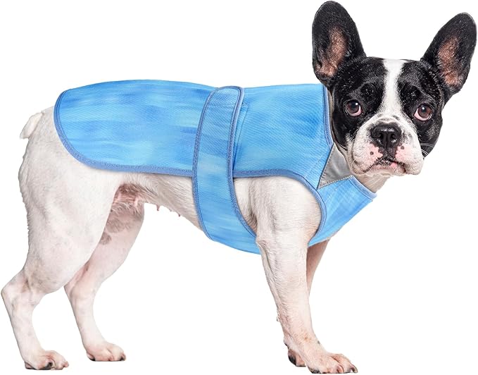 Summer Dog Cooling Vest - Lightweight Dog Cooling Jacket, Breathable Shirt for Walking, Outdoor Hunting Training and Camping (M)