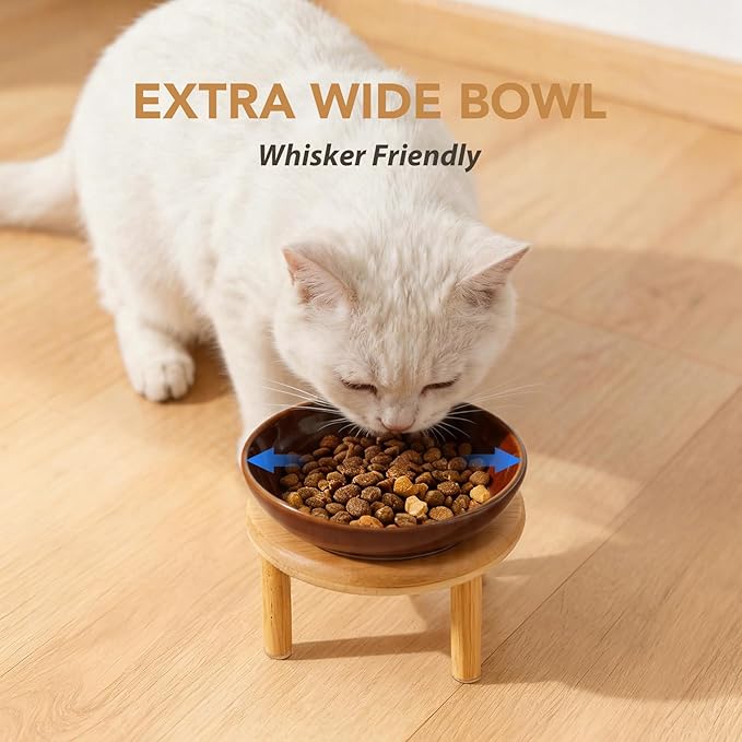 Havniva Elevated Cat Bowls Raised Ceramic Cat Bowl, 5.9” Wide Opening Cat Food Bowl Whisker Friendly Cat Dish Anti-Slip with Bamboo Stand, Shallow Pet Food & Water Bowl for Indoor Cats