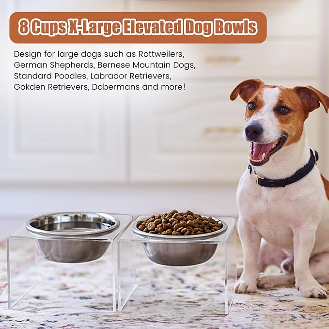 Ziliny 2 Set Acrylic Elevated Dog Bowls Stand 6.3" Tall Pet Acrylic Feeder Come with 2 Removable Stainless Steel Bowls for Large Dogs, Raised Durable Dog Bowl Pet Feeding Station
