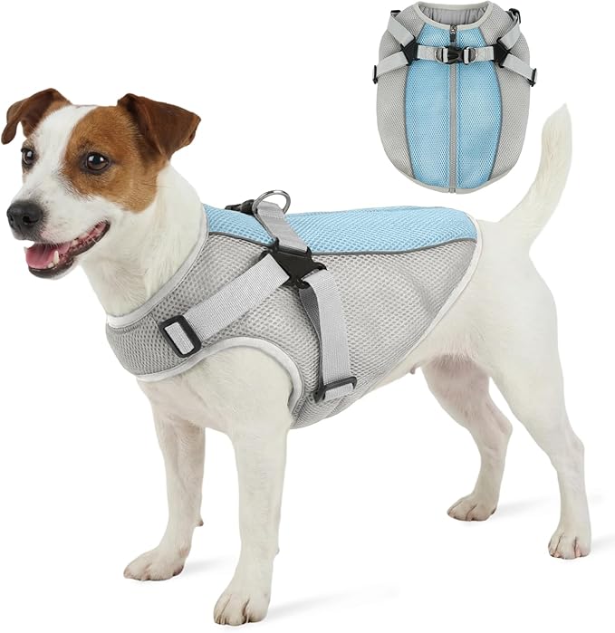 FUAMEY Dog Cooling Vest for Small Dogs, Doggy Evaporative Cooling Jacket in Hot Weather, Puppy Breathable Mesh Cooler Vest with Reflective Stripe, Pet Summer Harness Shirt for Hiking Training, Gray S