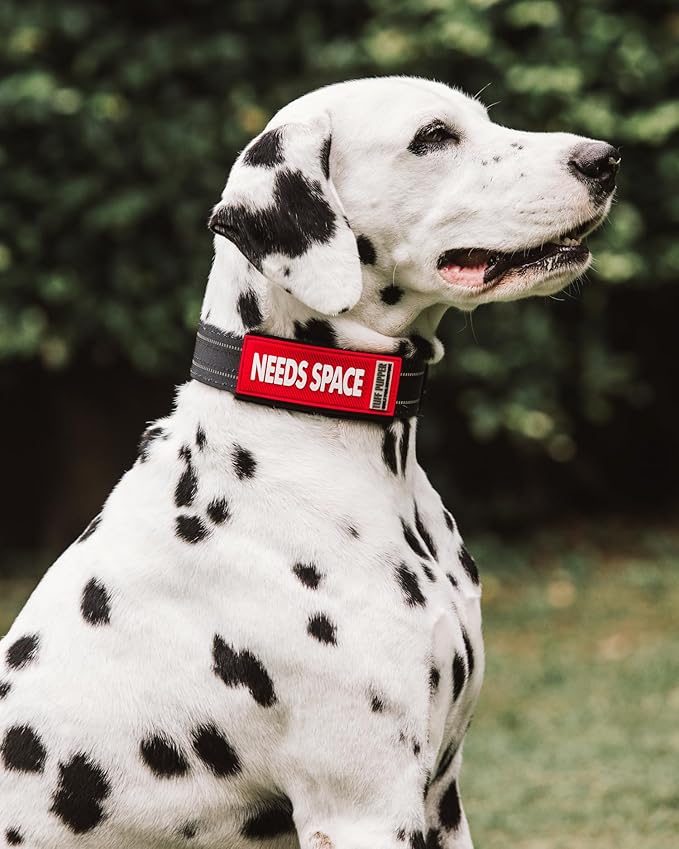 Tuff Pupper 2-Pack Waterproof Collar Sleeves | Fits Any 3/4 Inch Wide Dog Collar | Dual Sided Message | Durable Silicone & Neoprene | Odor & Stink Proof | Easy Slide On & Off (Needs Space, Small)