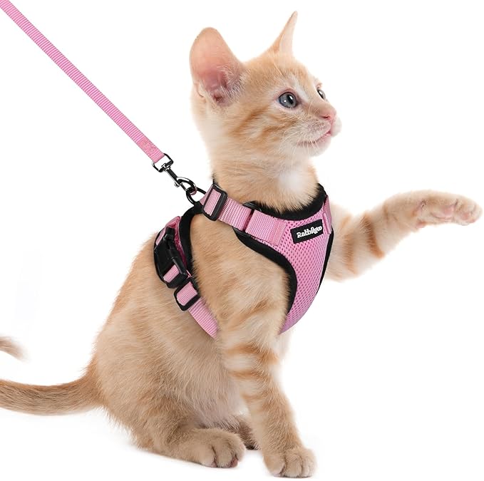 rabbitgoo Cat Harness and Leash Set, Escape Proof Kitten Harness for Safe Outdoor Walks, Soft Breathable Adjustable Vest with Reflective Strips for Kittens and Extra Small Cats, Pink, XXS